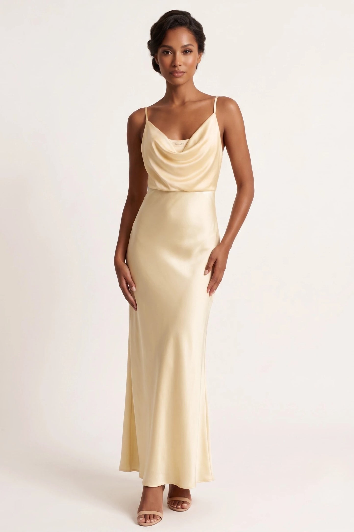 The Hyde Park Cowl-Neck Satin Dress